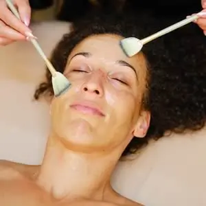 Double-brush facial mask application