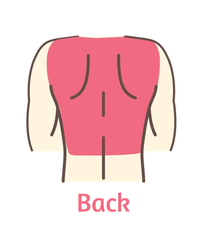 Diagram of the area covered by the Back wax