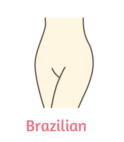 Diagram of the area covered by the Brazilian wax