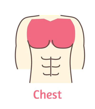 Diagram of the area covered by the Chest wax